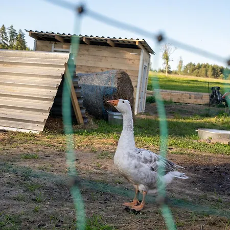 Farm stay Tiny House At Countryside *