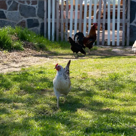 Tiny House At Countryside * Jogeveste