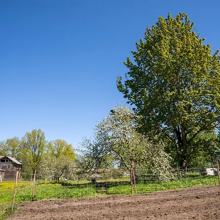 Tiny House At Countryside