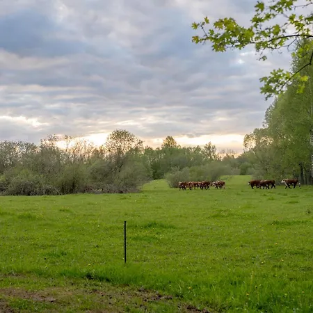 Farm stay Tiny House At Countryside