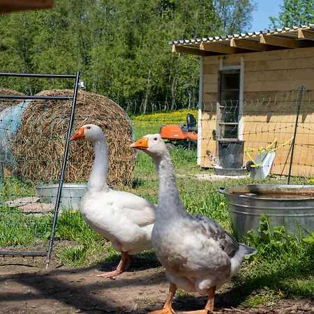 Tiny House At Countryside Farm stay