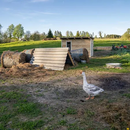Farm stay Tiny House At Countryside *