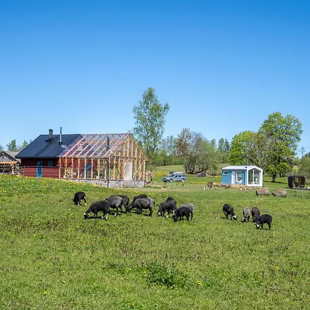 Farm stay Tiny House At Countryside Jogeveste