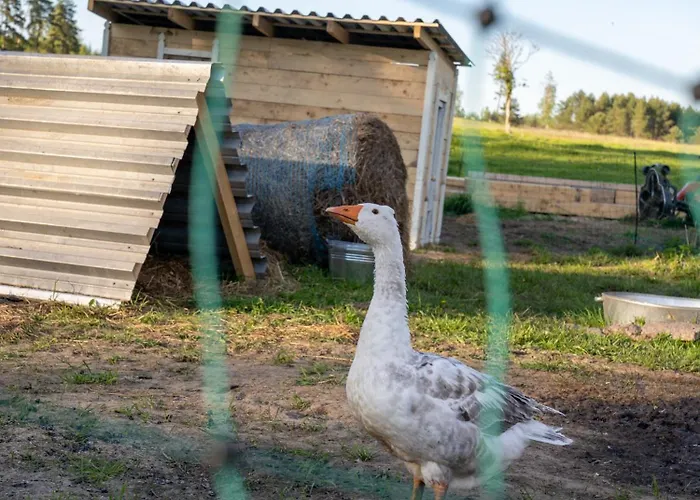 Farm stay Tiny House At Countryside *
