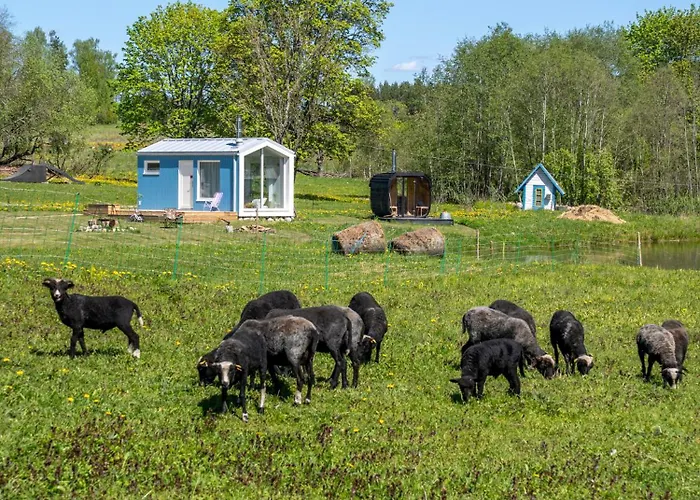 Tiny House At Countryside Jogeveste