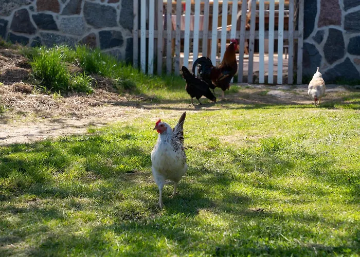 Tiny House At Countryside * Jogeveste