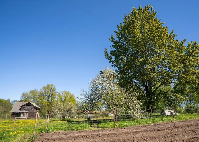 Tiny House At Countryside