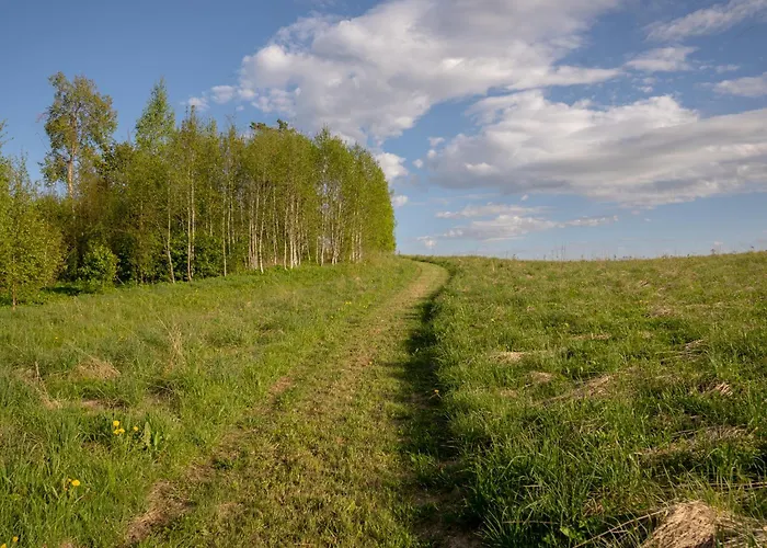 Tiny House At Countryside * Jogeveste