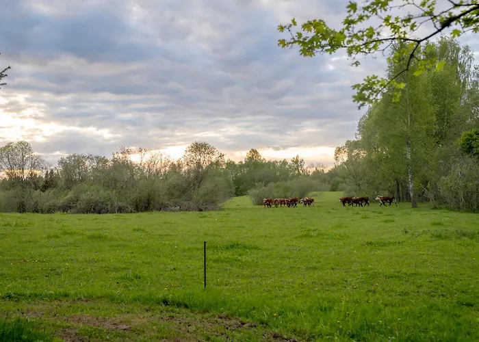 Farm stay Tiny House At Countryside