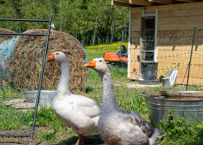 Tiny House At Countryside Farm stay
