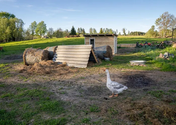 Farm stay Tiny House At Countryside *