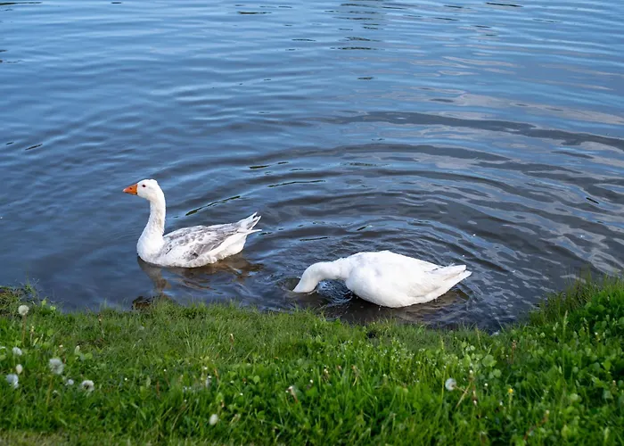 Farm stay Tiny House At Countryside