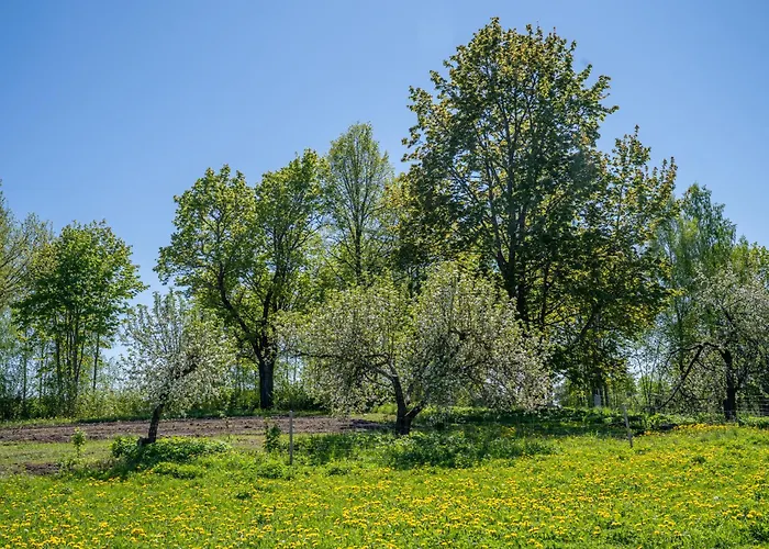 Tiny House At Countryside * Jogeveste