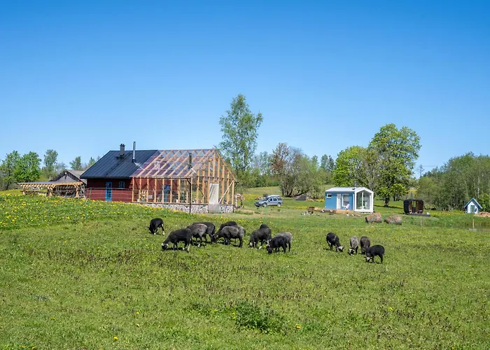 Farm stay Tiny House At Countryside Jogeveste