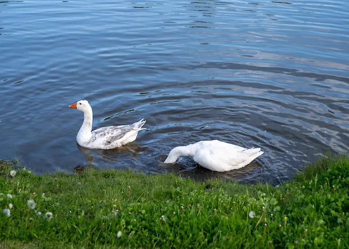 Farm stay Tiny House At Countryside